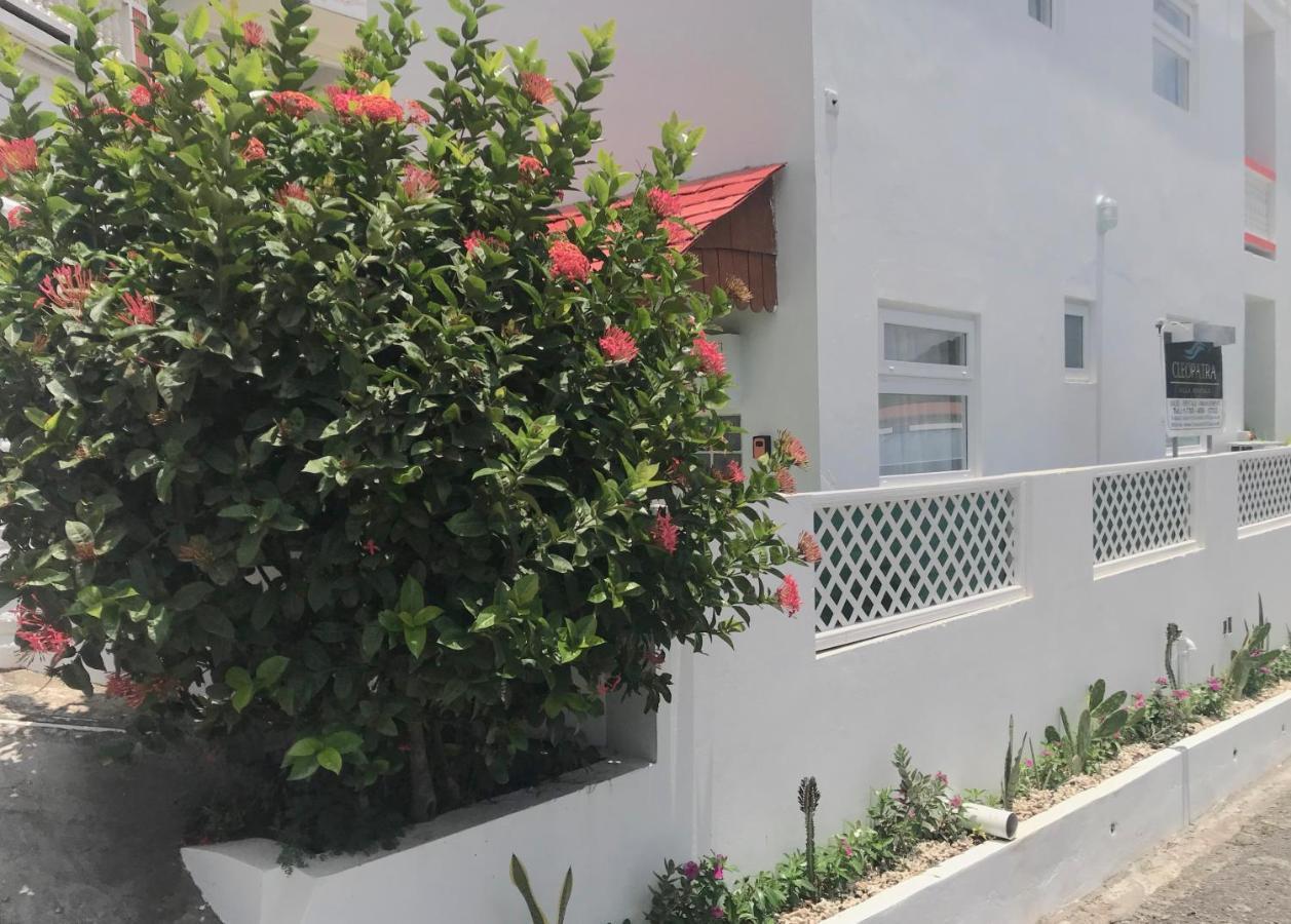 Cleopatra Villas - Sea View Rodney Bay Exteriér fotografie